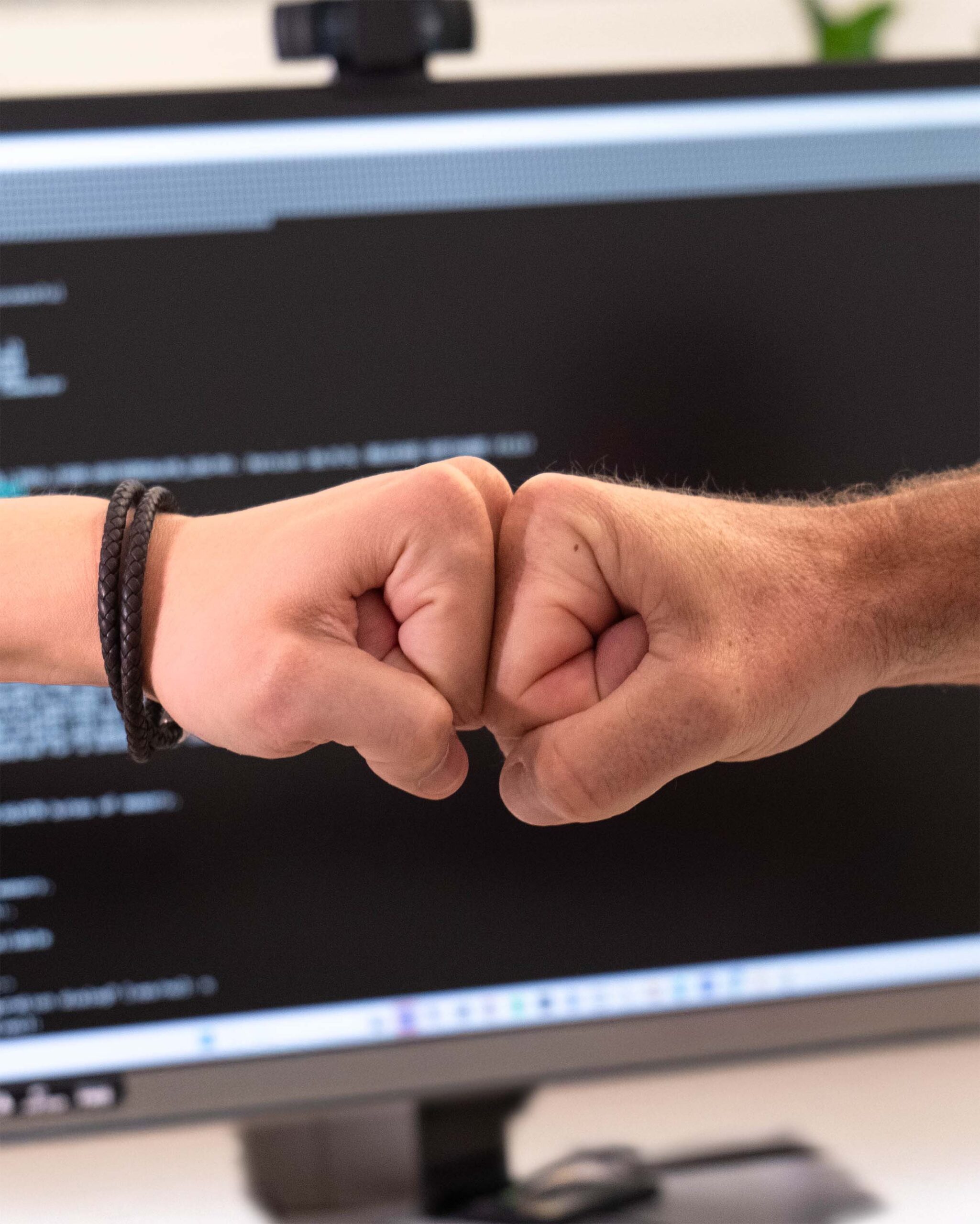 Faustcheck bei gefundener IT Lösung bei G2ITSystems.